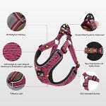 Suredoo Adjustable No-Pull Dog Harness - Pink