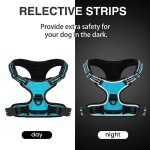 Belababy No-Pull Adjustable Dog Harness - Blue