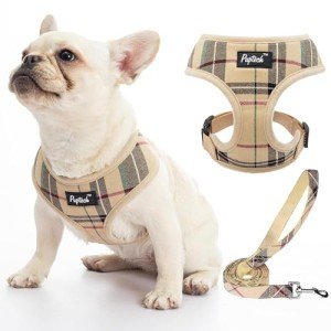 PUPTECK Soft Mesh Dog Harness and Leash Set