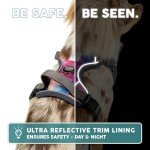 Embark Urban Dog No Pull Harness for Small Dogs