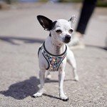 Floral Pattern Step-in Dog Harness for Small Dogs