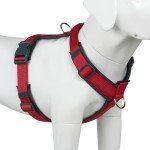 No Pull Adjustable Dog Harness with Padding - Red XL