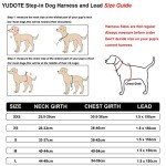 YUDOTE Plaid Step-In Harness and Leash Set