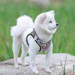Floral Pattern Step-in Dog Harness for Small Dogs