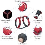 No Pull Adjustable Dog Harness with Padding - Red XL