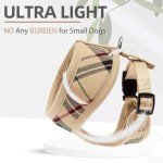 PUPTECK Soft Mesh Dog Harness and Leash Set