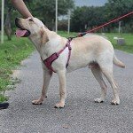 Suredoo Adjustable No-Pull Dog Harness - Pink