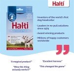 Medium HALTI Front Control Harness - No Pull Solution