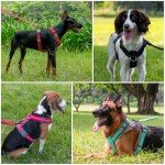 No Pull Adjustable Dog Harness with Padding - Red XL