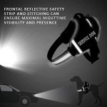 Personalized No Pull Dog Harness & Leash Set