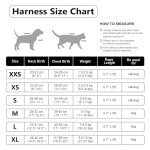 DORAMIO Soft Mesh Step-in Dog Harness and Leash Set