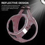 DORAMIO Soft Mesh Step-in Dog Harness and Leash Set