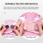 DORAMIO Soft Mesh Step-in Dog Harness and Leash Set