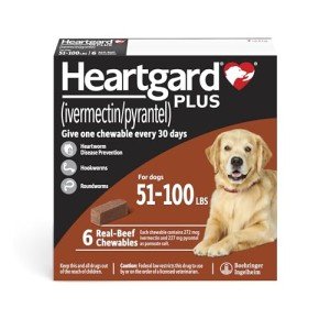 HEARTGARD® Plus Real-Beef Chews for Dogs 51-100 lbs