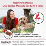 HEARTGARD® Plus Real-Beef Chews for Dogs 51-100 lbs