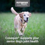 Cosequin Senior Joint Supplement for Dogs, 60 Soft Chews