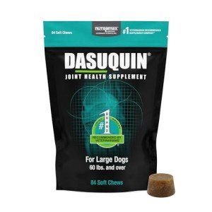 Nutramax Dasuquin Joint Supplement for Large Dogs