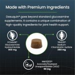 Nutramax Dasuquin Joint Supplement for Large Dogs