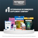 Nutramax Dasuquin Joint Supplement for Large Dogs