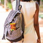 belVita Cinnamon Brown Sugar Dog Treats - 12 Packs