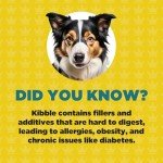 ProDog Raw Dog Food Sample Pack - Natural Nutrition