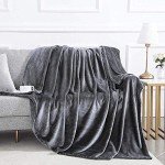 Soft Grey Fleece Blanket for Dogs and Kids