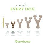 Benebone Wishbone Durable Bacon Chew Toy for Dogs