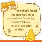 Nylabone Cheese Flavor Power Chew Toy for Dogs