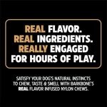 Dinosaur BarkBone - Durable Dog Bone with Bacon Flavor