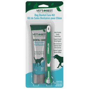 Vet's Best Dog Toothpaste & Toothbrush Dental Kit