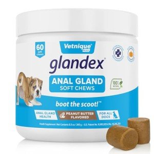 Glandex Peanut Butter Soft Chews for Dogs