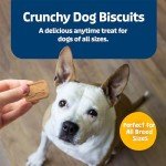 Blue Buffalo Crunchy Dog Biscuits with Bananas & Yogurt