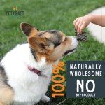 Wild Caught Dehydrated Pacific Salmon Dog Treats