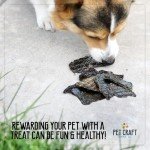 Wild Caught Dehydrated Pacific Salmon Dog Treats