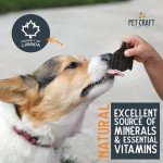 Wild Caught Dehydrated Pacific Salmon Dog Treats