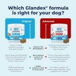 Glandex Peanut Butter Soft Chews for Dogs