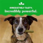 Greenies Original Natural Dog Dental Care Treats