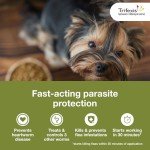 Trifexis Heartworm and Flea Prevention for Dogs