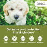 Trifexis Heartworm and Flea Prevention for Dogs