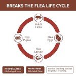 Amazon Basics Flea & Tick Treatment for Large Dogs