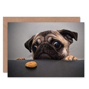 Cute Pug Dog Portrait Greeting Card with Envelope