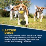 Petaxin Glucosamine Hip and Joint Chews for Dogs