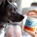 Petaxin Glucosamine Hip and Joint Chews for Dogs