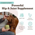 Natural Dog Hip & Joint Chews with Turmeric
