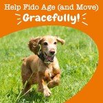 Zesty Paws Joint Mobility Soft Chews for Dogs