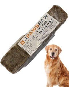 4PAWSRAW Beef & Green Tripe Dog Food Mince 20 Pack