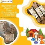 4PAWSRAW Beef & Green Tripe Dog Food Mince 20 Pack
