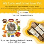 4PAWSRAW Beef & Green Tripe Dog Food Mince 20 Pack