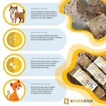 4PAWSRAW Beef & Green Tripe Dog Food Mince 20 Pack