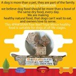 4PAWSRAW Beef & Green Tripe Dog Food Mince 20 Pack